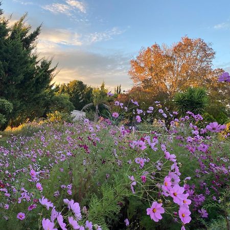 Melbourne Garden Bed&Breakfast Melton Buitenkant foto